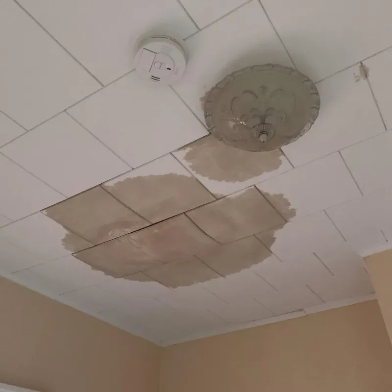 Ceiling Water Damage Repair in Hillside, NJ