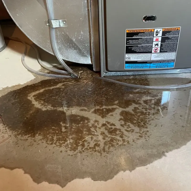 Pipe Burst and Leak Restoration in Hillside, NJ