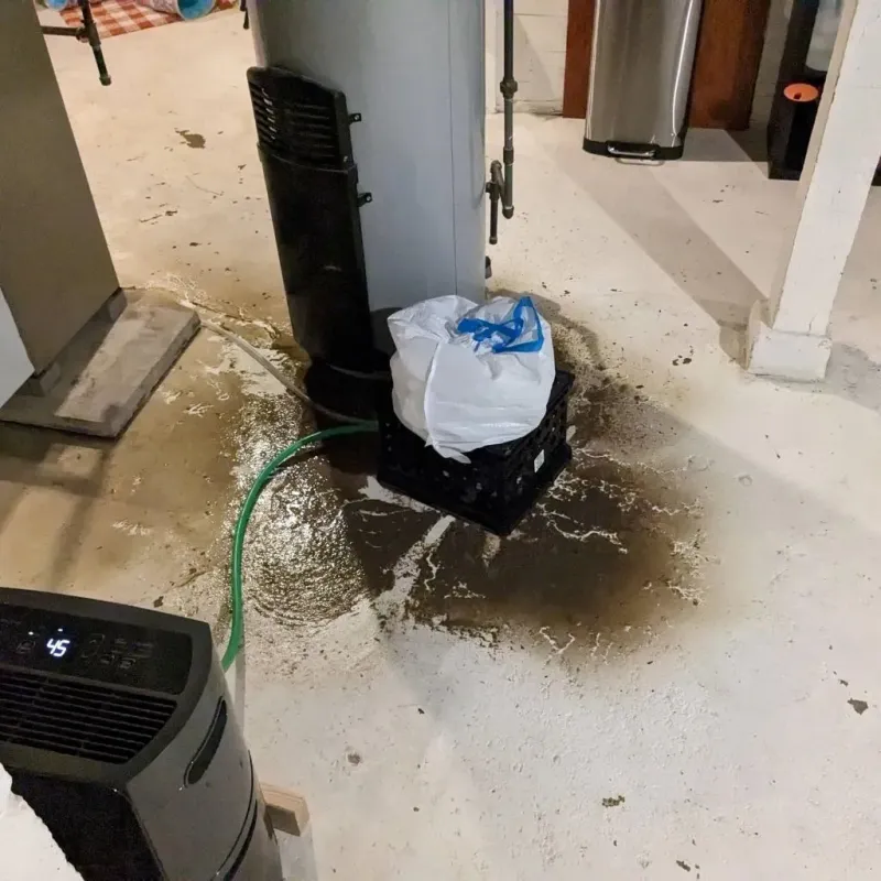 Sewage Backup Cleanup Service in Hillside, NJ